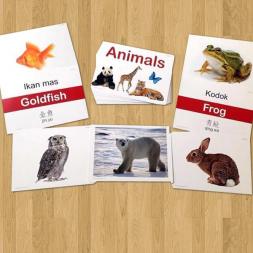 Flashcards Animal