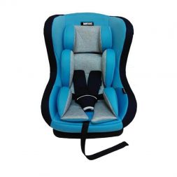 BabyDoes Carseat CH 863LB - Blue