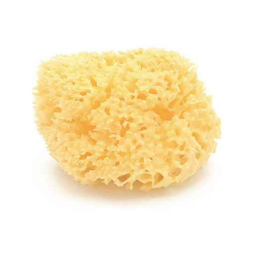 Bellini Honey Comb Bleached Sponge Size 14