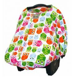 Itzy Ritzy Peek A Boo Infant Carrier Pod Hoot