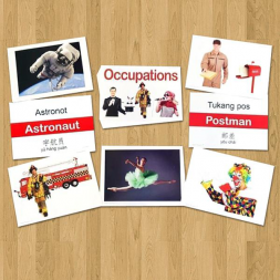 Flashcards Occupation