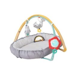 Taf Toys Musical Newborn Cosy Gym